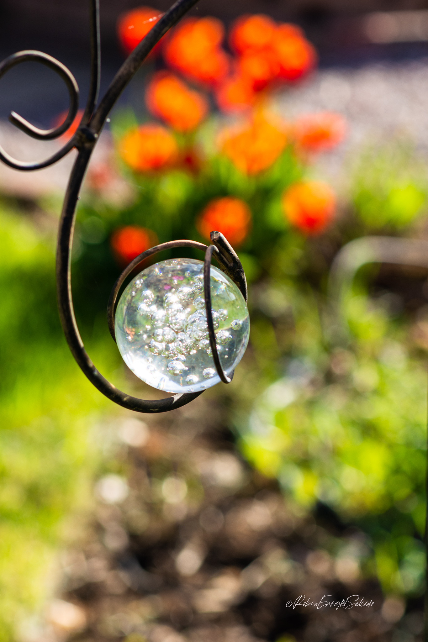 _DSC0459-Edit