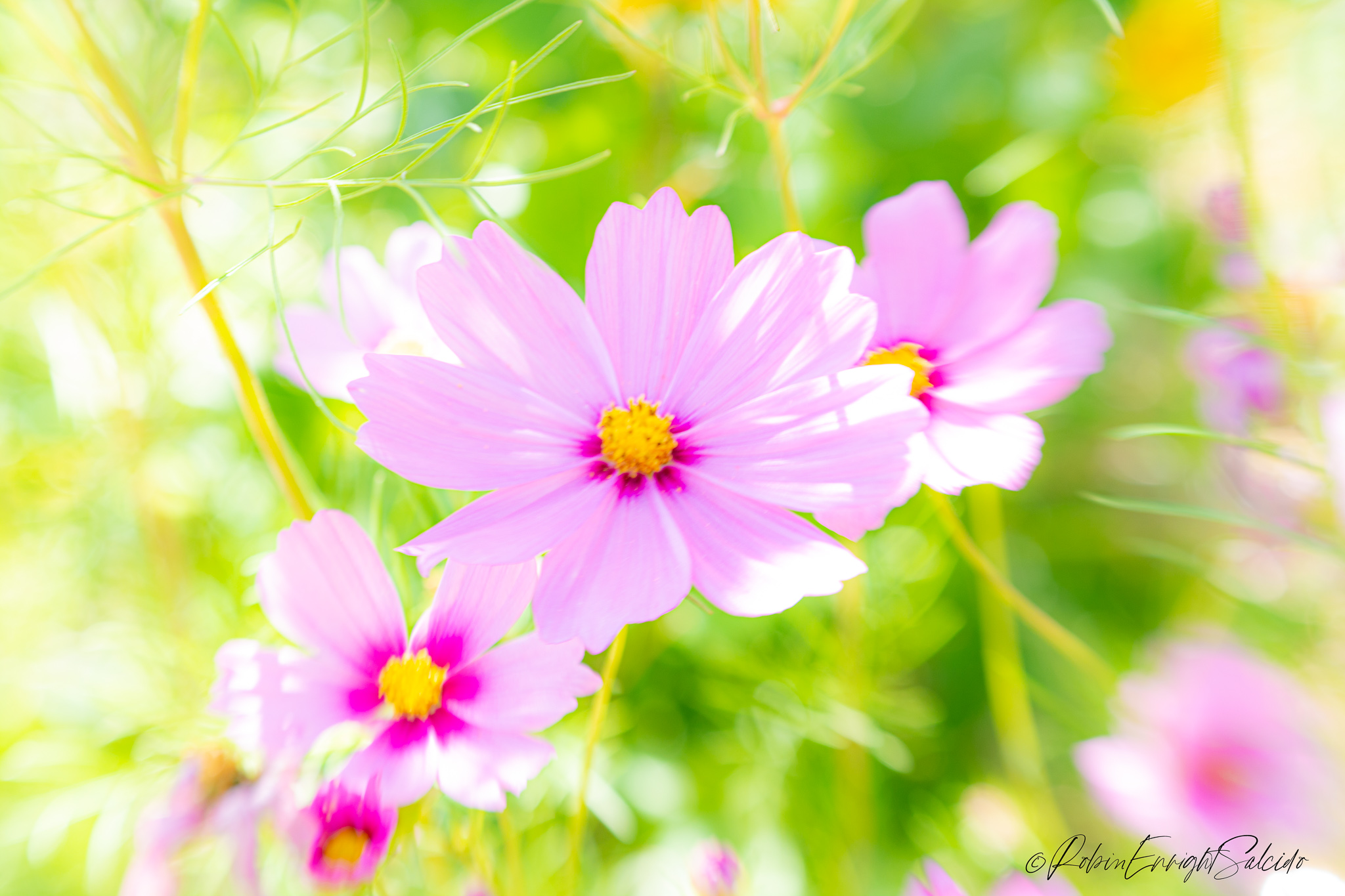 _DSC0048-Edit